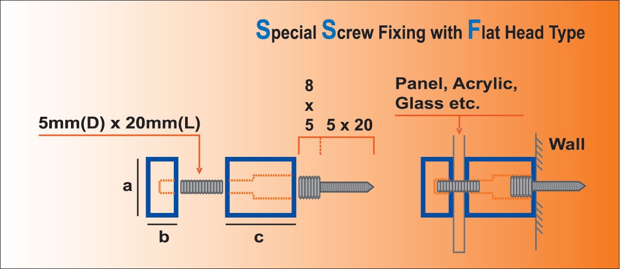 Structure diagram of Special Screw Fixing flat head type