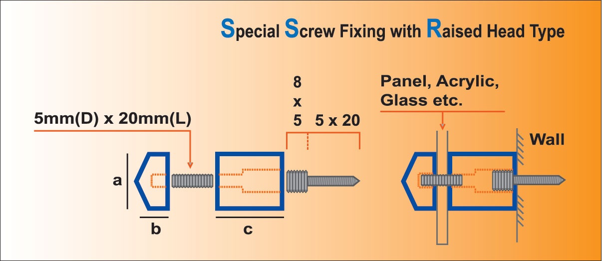 Structure diagram of Special Screw Fixing raised head type